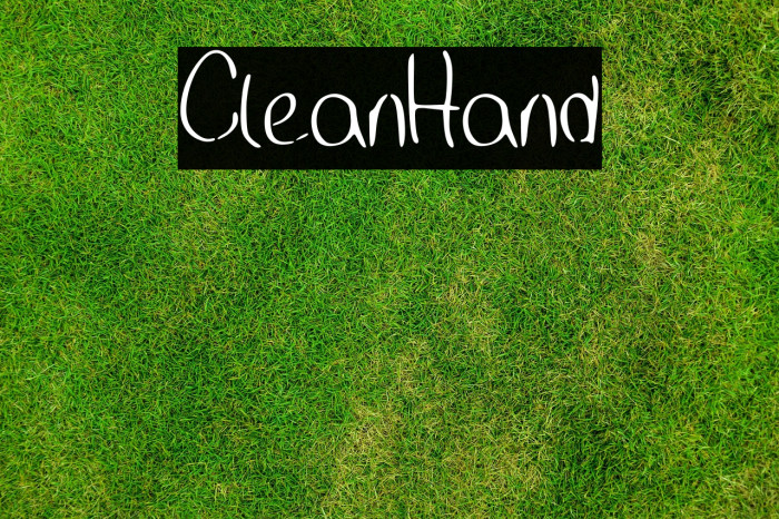 CleanHand Example 1