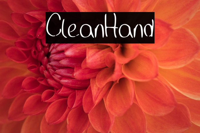 CleanHand Example 3