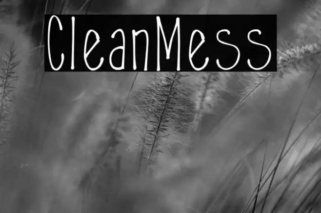CleanMess Font examples