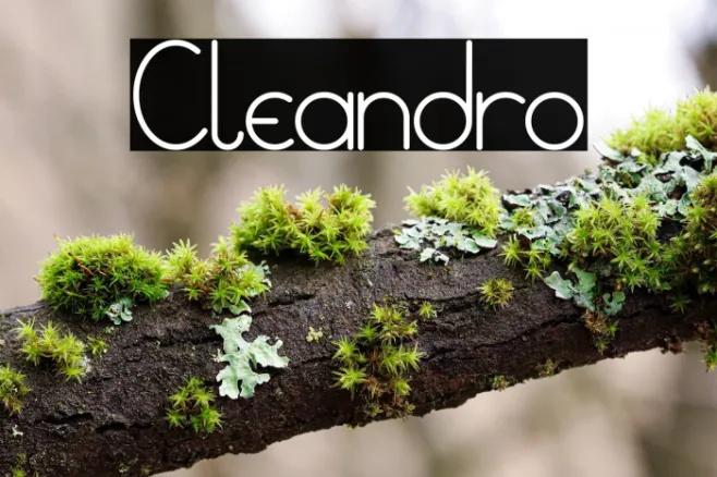 Cleandro Example 1