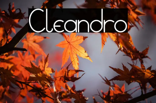 Cleandro Example 2