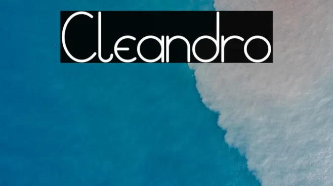 Cleandro Example 3
