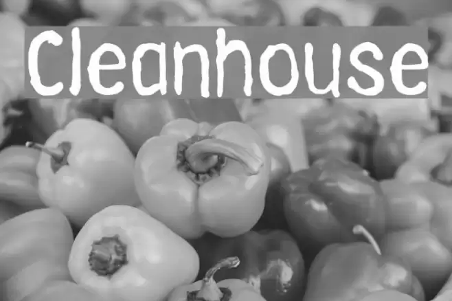 Cleanhouse Font examples