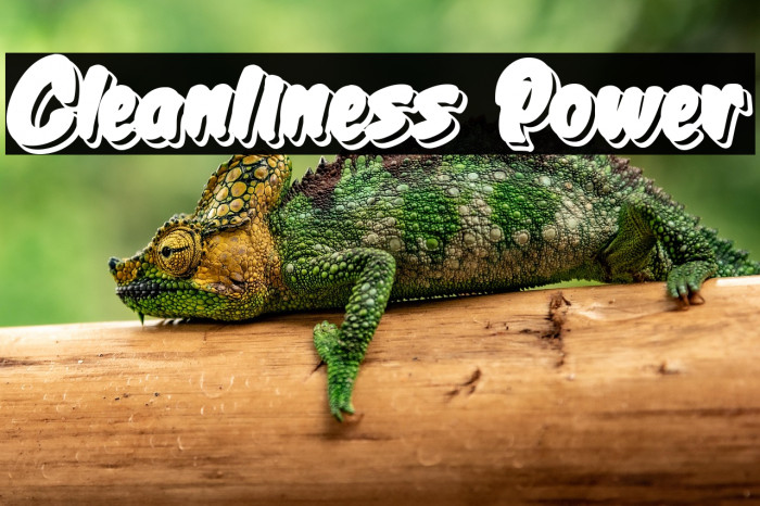 Cleanliness Power Example 1