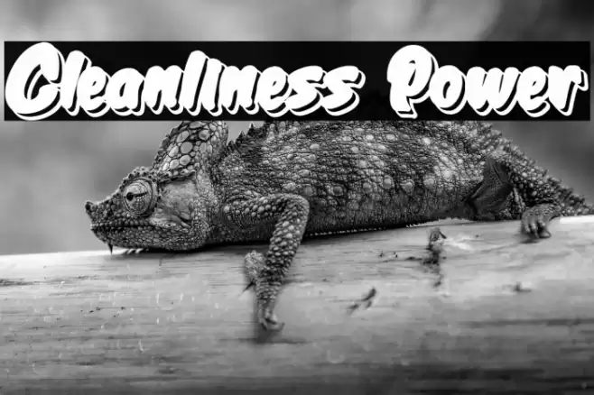 Cleanliness Power Caratteri examples