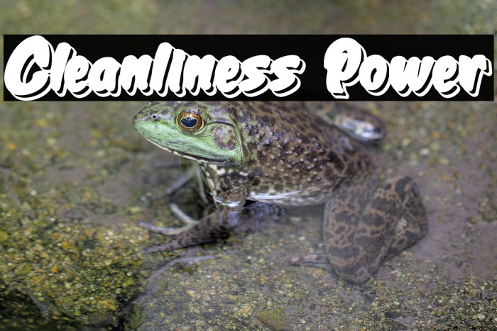 Cleanliness Power Example 2