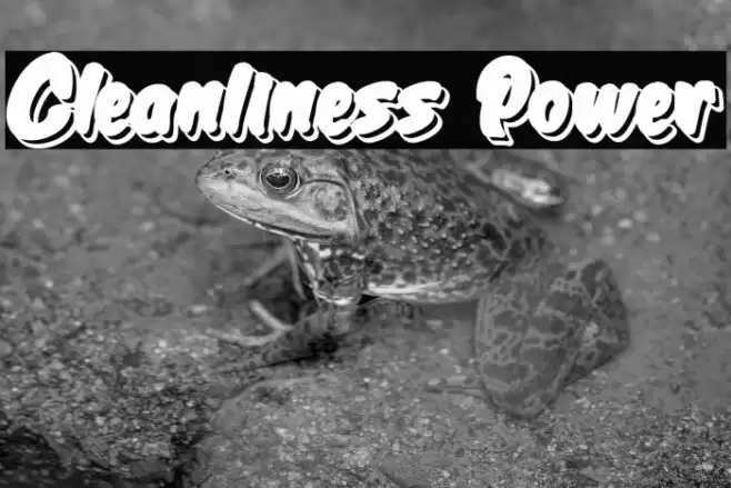 Cleanliness Power Caratteri examples