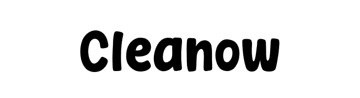 cleanow-webfont-ffonts