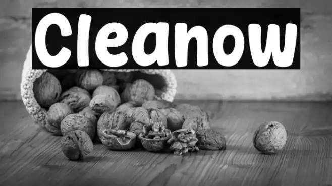 Cleanow フォント examples