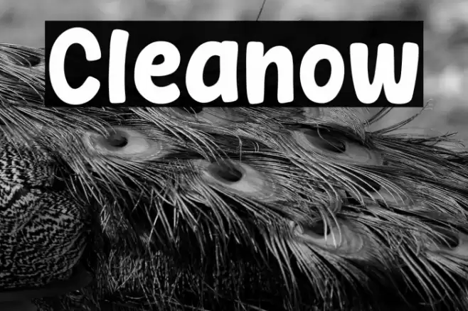 Cleanow フォント examples