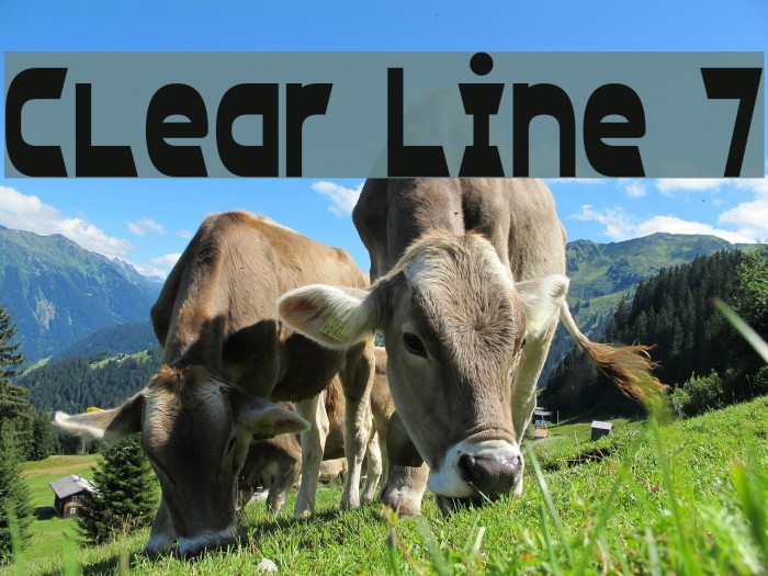 Clear Line 7 Font examples