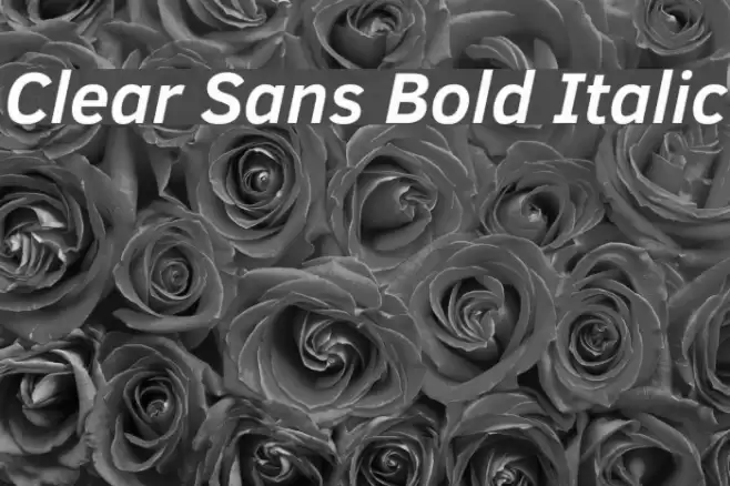 Clear Sans Bold Italic Font examples
