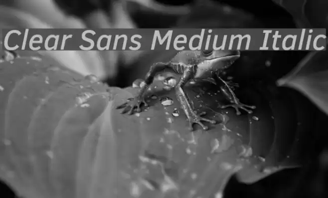 Clear Sans Medium Italic Font examples