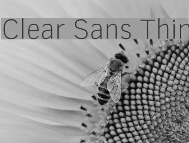 Clear Sans Thin Font examples