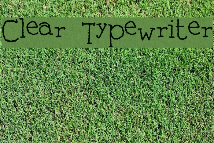 Clear Typewriter Font examples