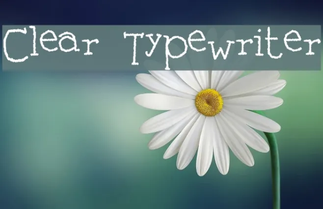 Clear Typewriter Example 3