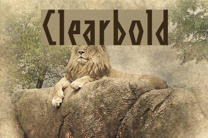 Clearbold Font examples