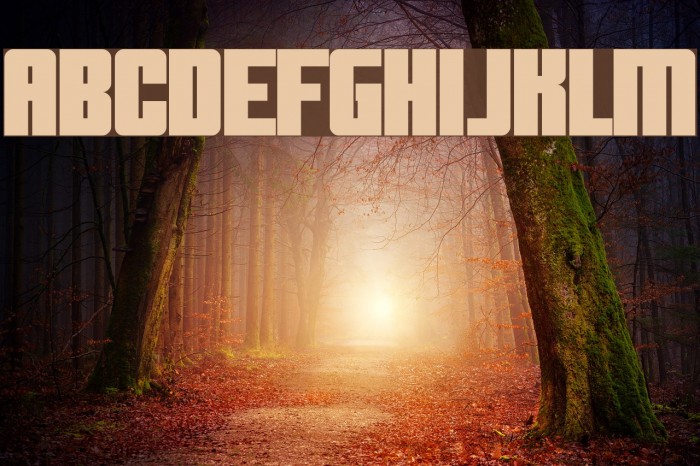Clearwerkkraftremix Font examples