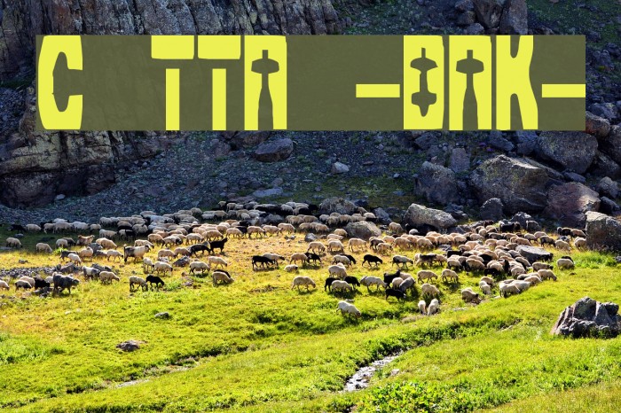 Cleaved TTR -BRK- Font examples