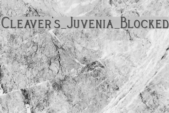 Cleaver's_Juvenia_Blocked Font examples