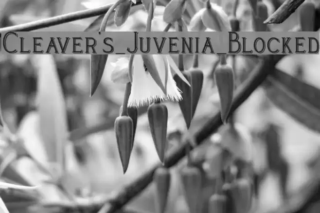 Cleaver's_Juvenia_Blocked Font examples