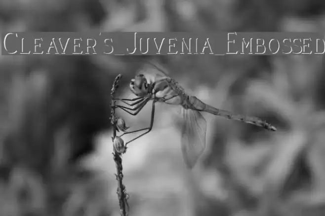 Cleaver's_Juvenia_Embossed Font examples