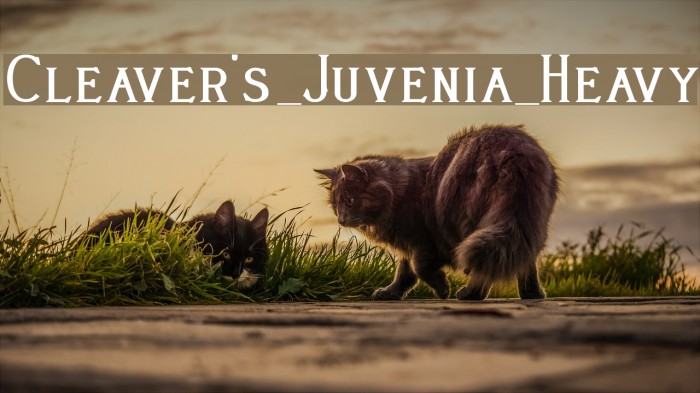 Cleaver's_Juvenia_Heavy Font examples