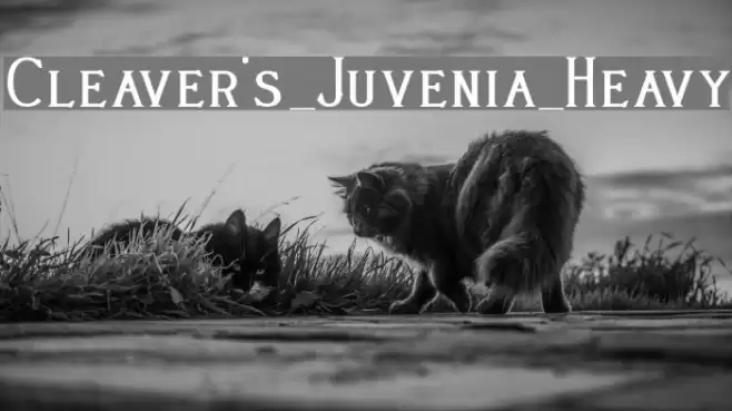Cleaver's_Juvenia_Heavy خط examples