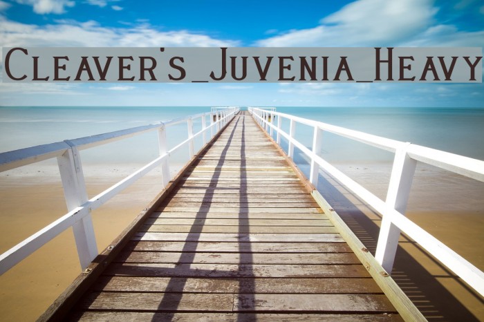 Cleaver's_Juvenia_Heavy Font examples
