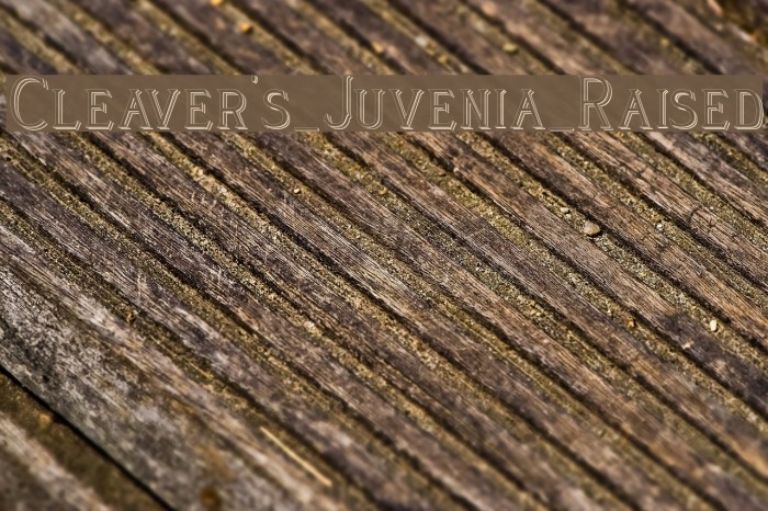Cleaver's_Juvenia_Raised Font examples