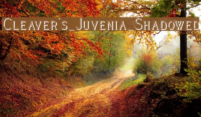 Cleaver's_Juvenia_Shadowed Font examples