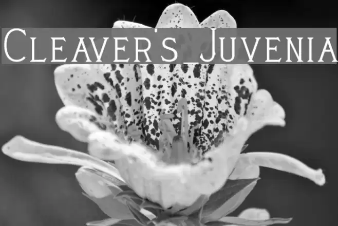 Cleaver's_Juvenia Font examples