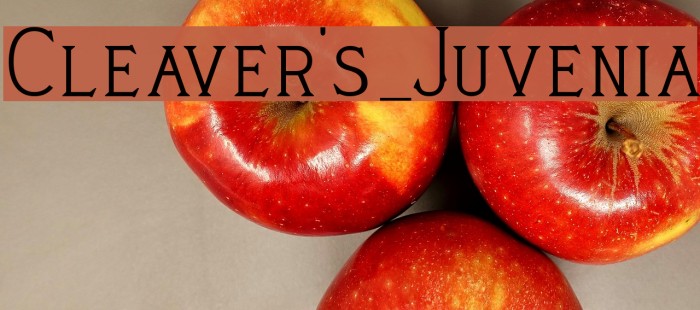 Cleaver's_Juvenia Font examples