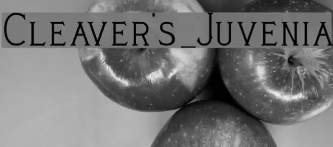Cleaver's_Juvenia Font examples