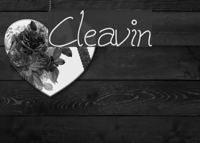Cleavin フォント examples
