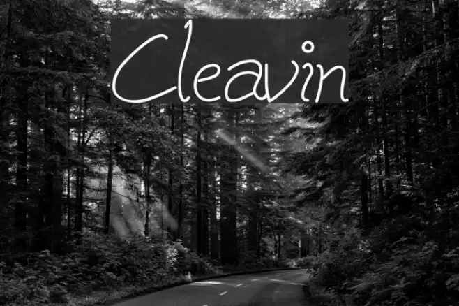 Cleavin フォント examples