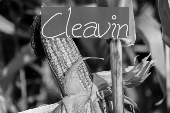 Cleavin フォント examples