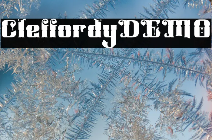 Cleffordy DEMO Example 3