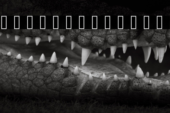 Clement Five Example 2