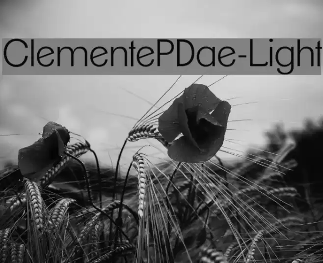 ClementePDae-Light Font examples