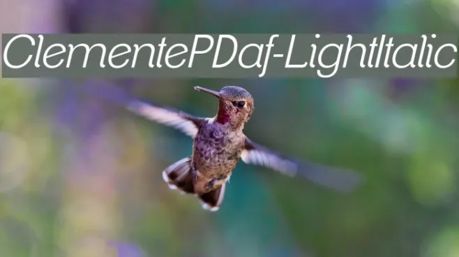 ClementePDaf-LightItalic Example 2