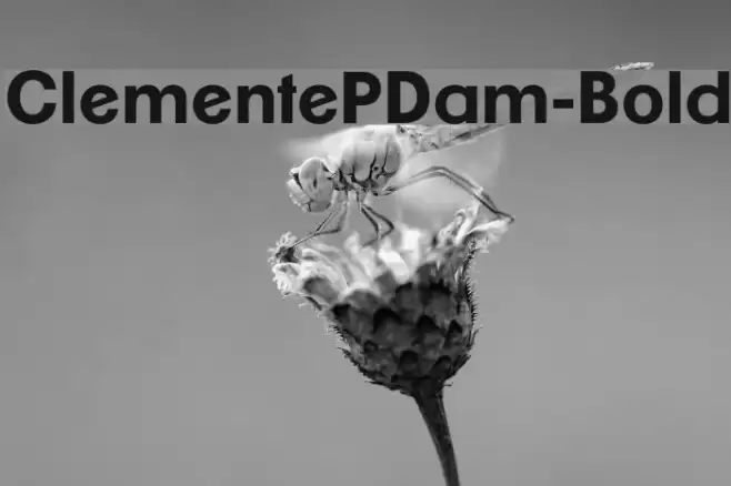 ClementePDam-Bold Font examples