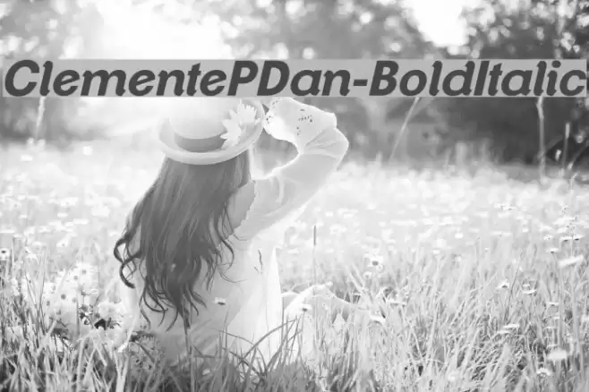 ClementePDan-BoldItalic フォント examples