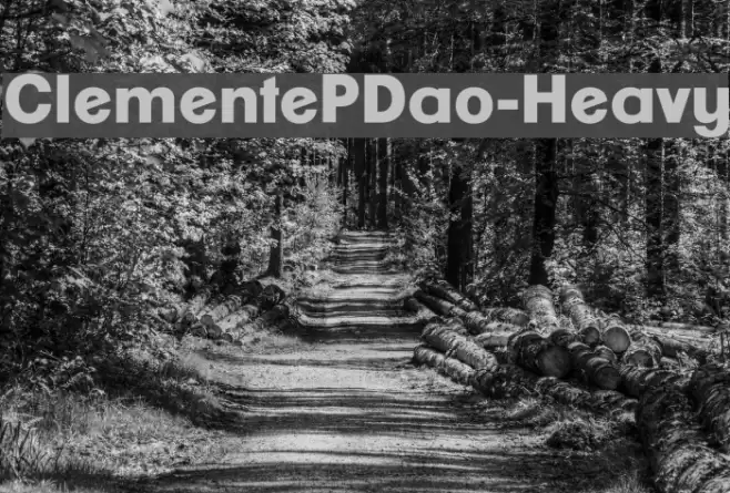 ClementePDao-Heavy Font examples