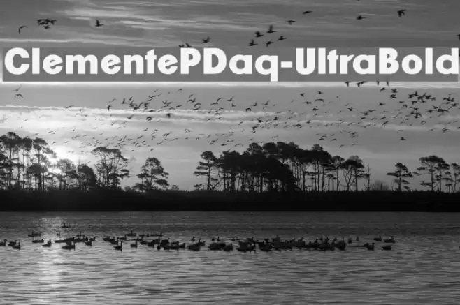 ClementePDaq-UltraBold Font examples