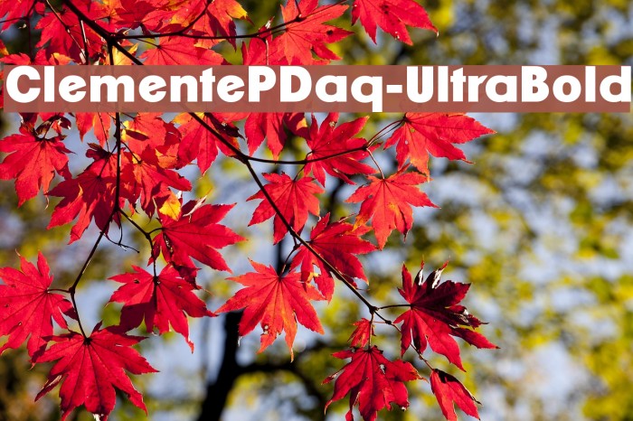 ClementePDaq-UltraBold Font examples