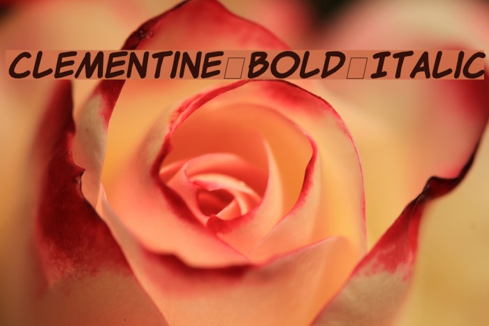 Clementine Bold Italic Font examples