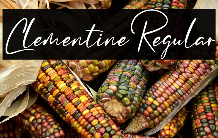 ClementineRegular Example 1