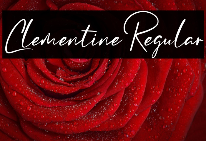 ClementineRegular Example 3