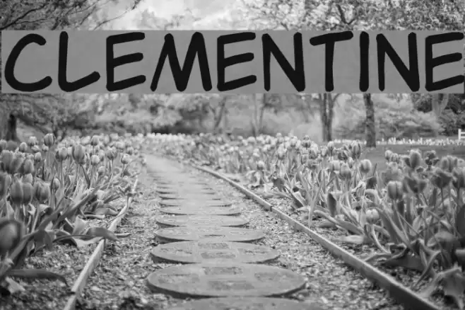 Clementine examples